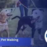 Automating Pet Walking Schedules